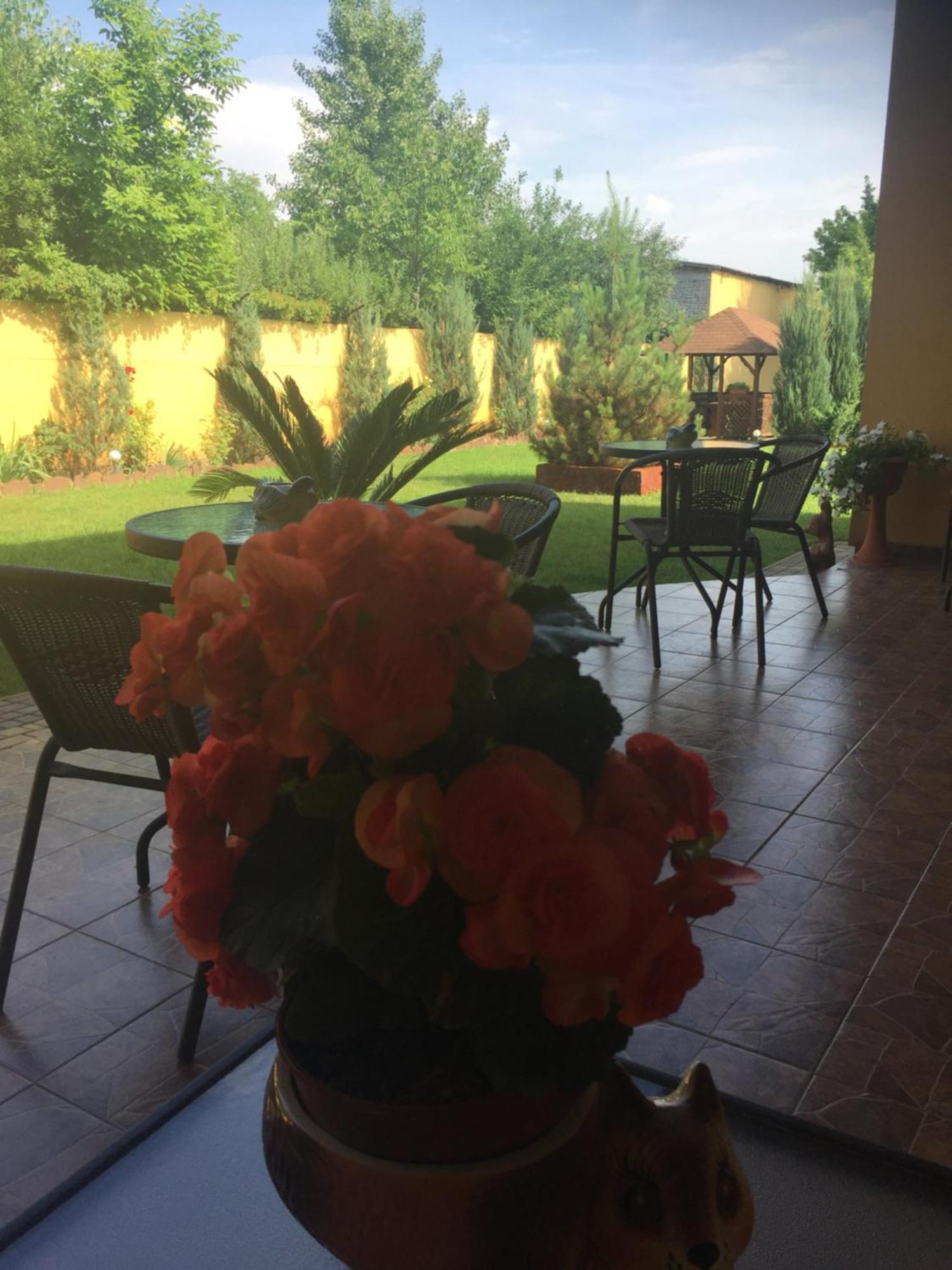 Villa Fenix Berehove  Dış mekan fotoğraf