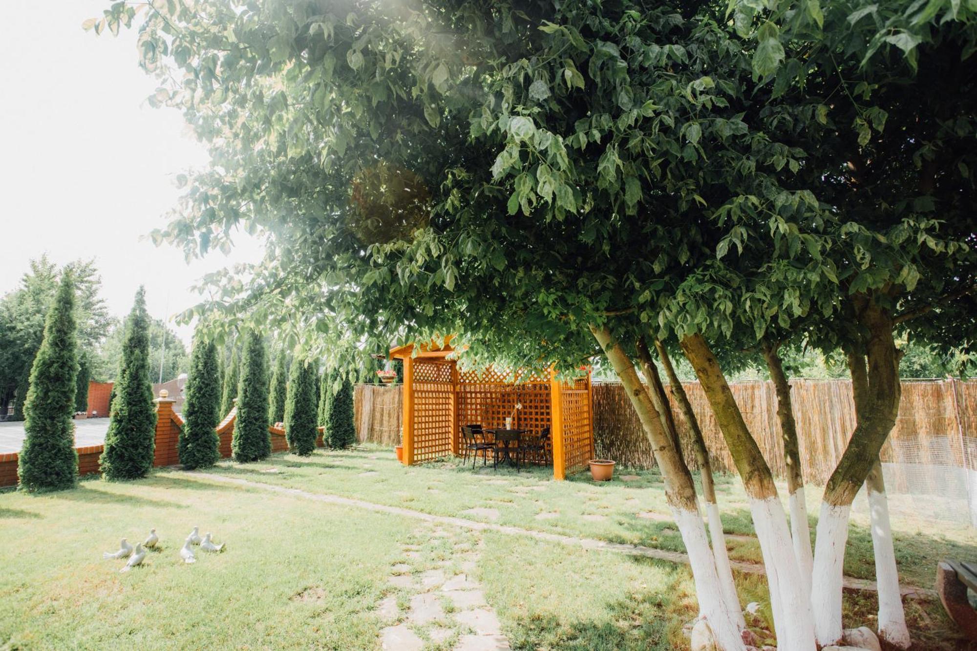 Villa Fenix Berehove  Dış mekan fotoğraf